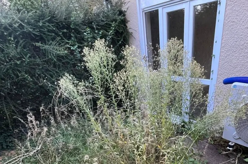 before-image