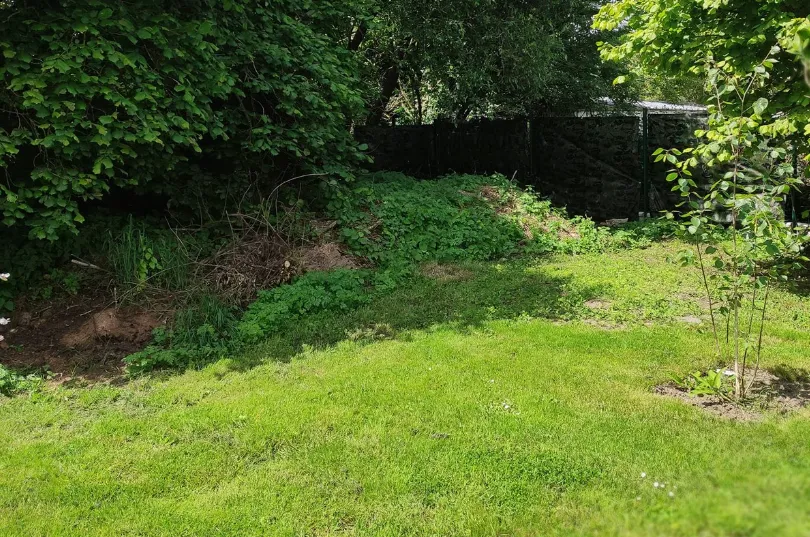 before-image