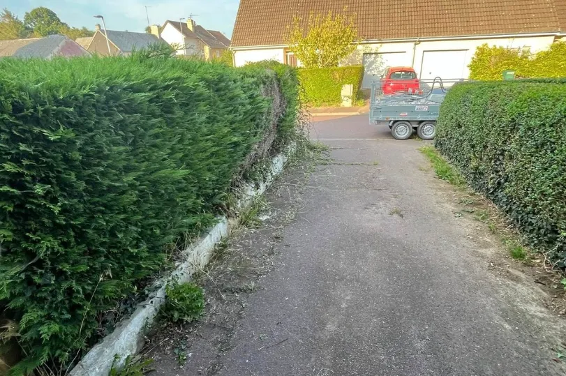 before-image