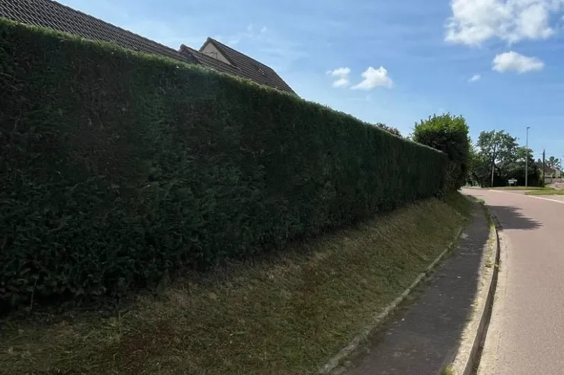 after-image