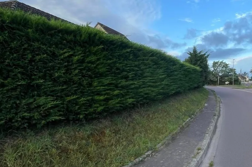 before-image